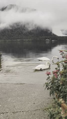 Majestic Lake Scene with Cloudy Mountain Backdrop.
