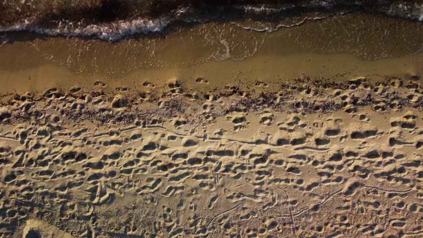 Footprints in the sand on a beach, waves gently lapping the shore. Perfect for travel, vacation, and tourism projects.