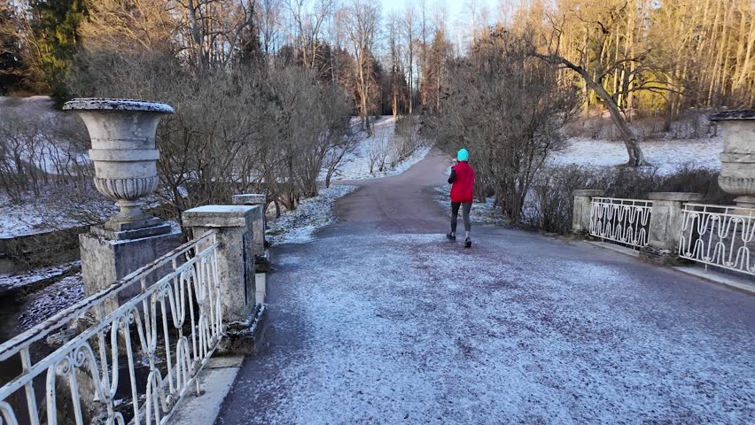 People walk in the winter park. Slowmotion