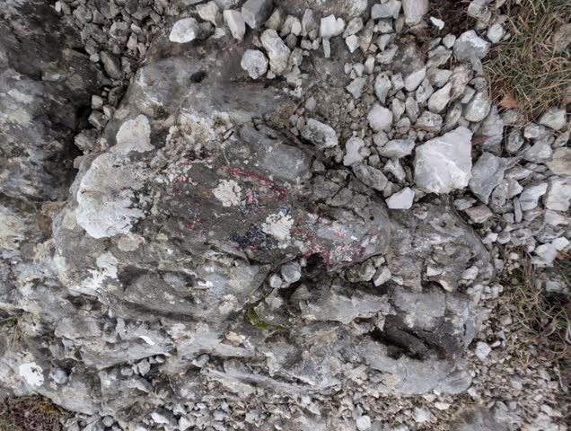 Natural rock surface with stones and mineral fragments, rough texture ideal for geology and nature themes