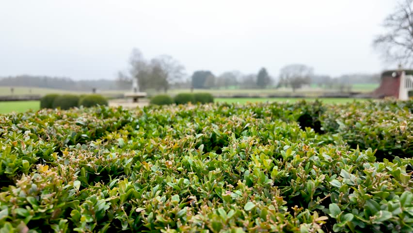 Formal Garden Hedge At Stately Home In England With Greenery And Lawn Featuring A Blurred Background Of Trees And A Distant Fountain On An Overcast Day