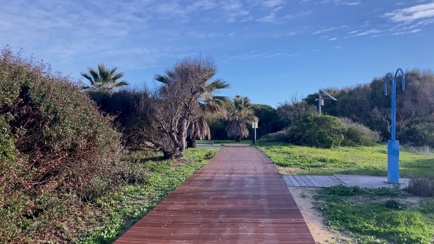 Wooden boardwalk leads through coastal vegetation toward the Atlantic beach under a clear blue sky