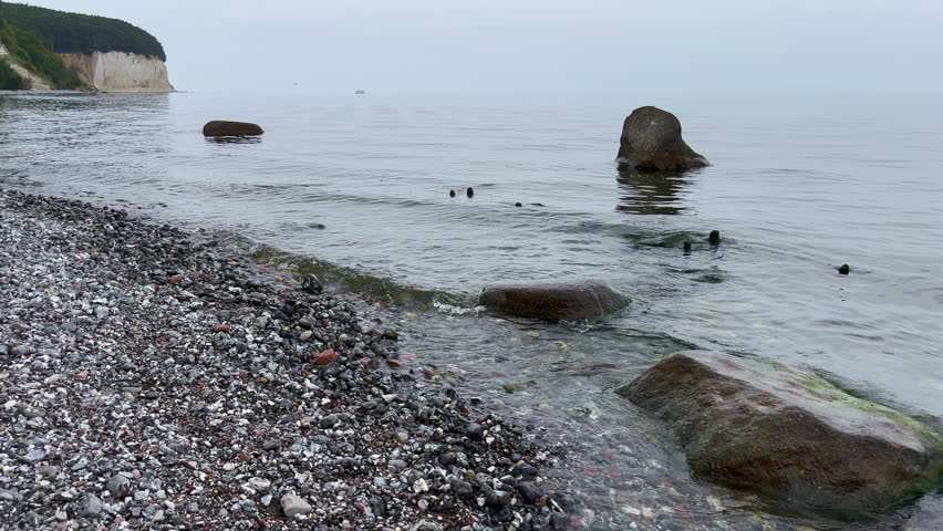 Stralsund, Mecklenburg-Vorpommern, Germany - August 20, 2025: Rocky pebble beach with scattered boulders along the Rügen coastline showing white chalk cliffs in the distance and calm Baltic Sea waters with seabirds.