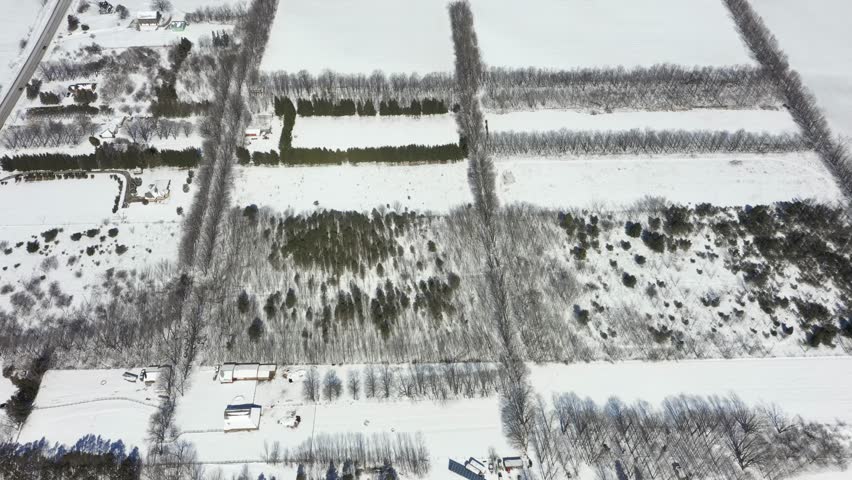 Beautiful aerial top down view of a rural landscape with rectangular fields, roads, and houses covered in a blanket of fresh snow on a sunny day, creating long shadows from the trees