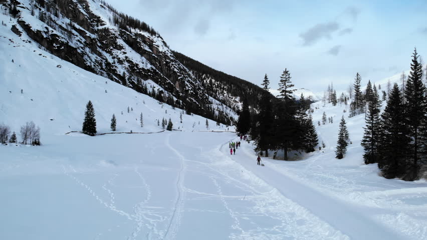 Guided Team Carefully Advances Along Narrow Trail Through Fresh Powdery Snow Surrounded By Towering Pines. Media