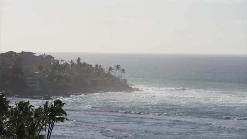 Majestic view of a tropical coastline in honolulu, hawaii, with powerful ocean waves crashing against the rocky shore and lush palm trees swaying in the misty, sunlit atmosphere