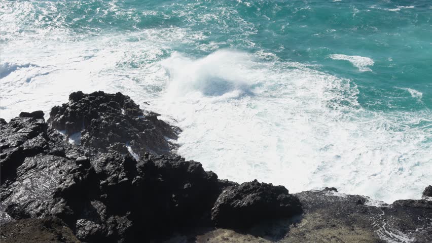 Powerful turquoise waves crashing against the rugged black volcanic rock shoreline of honolulu, hawaii, creating white foam and spray under the bright sunlight on a beautiful tropical day