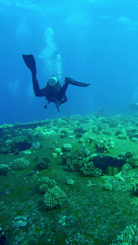 Vertical footage, Scuba divers swims over coral-covered board of the wreckship of Salem Express ferry, Slow motion of divers swimming in blue depths examines at sunken ship