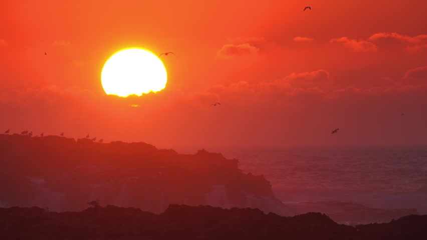 Seagulls fly over the sea against the backdrop of the setting sun