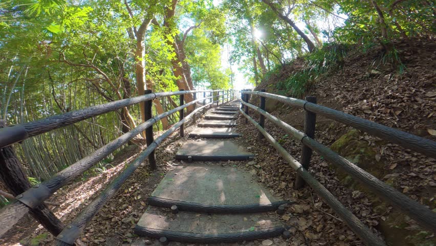 Walking Up Stairs on a Mountain Trail with Fences on Both Sides