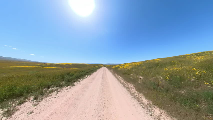 Carrizo Plain National Monument Super Bloom Flowers Off Road Driving Plate Front View 03 California USA