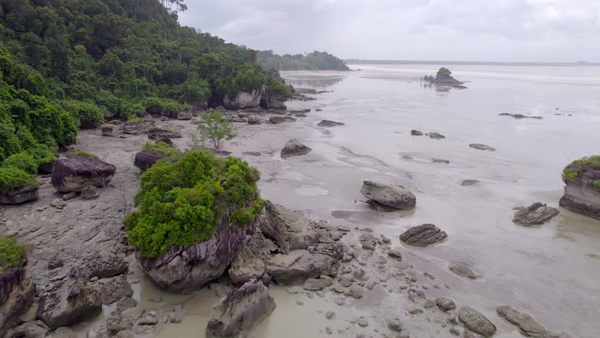 Drone flight over rocky seashore bordered by dense, untouched forest on a remote island of planet earth, captured on a cloudy day.