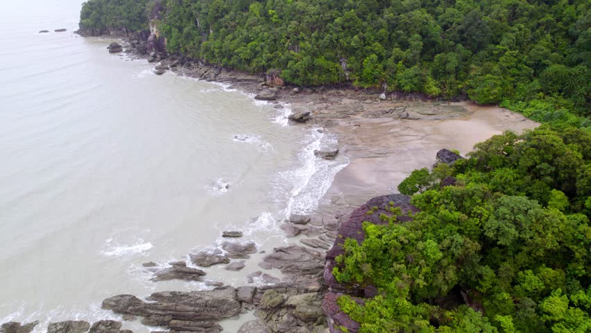 Aerial over rocky beach bordered by dense, untouched forest on a remote island of planet earth, captured on a cloudy day.