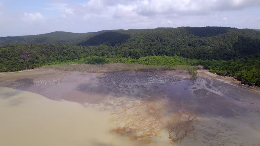 Birds eye aerial view of dense green rainforest in Bako National Park along secluded and vacant beach of Borneo island in Malaysia.