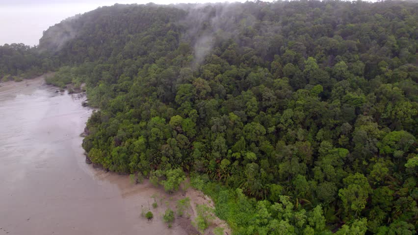 Aerial drone footage flying over Bako National Park stretching along the coastline of Borneo Island in Malaysia.