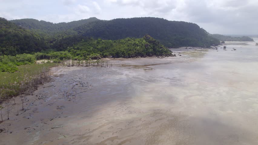 Aerial along the rugged coastline of Bako National Park in Sarawak, Malaysia, on the island of Borneo, revealing untouched coastal rainforest and rocky shorelines.