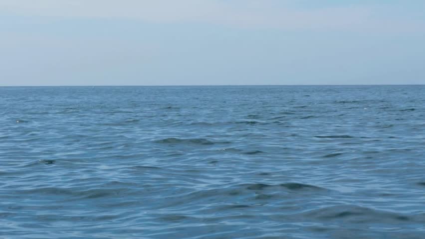 A massive humpback whale breaching out of the ocean water and creating a large splash.