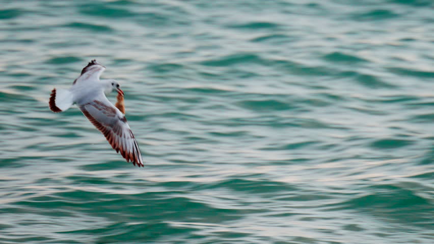 A glowing red sun partially covered by dark clouds at dusk