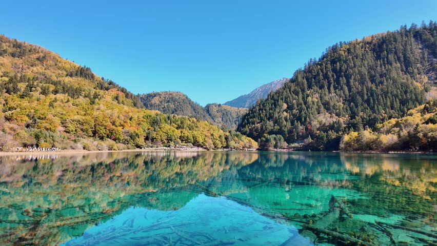Scenery Jiuzhaigou national park in Sichuan, China. Beautiful Five Flower Lake in Autumn season. Famous Landmark and Vacation near Chengdu, China. Asia travel concept 