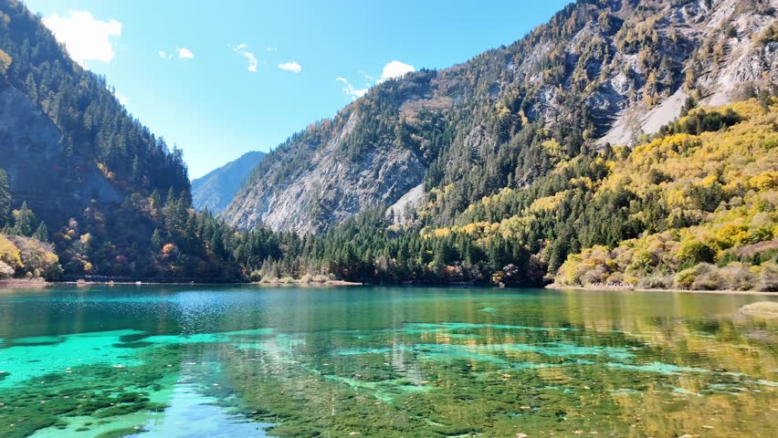 Scenery Jiuzhaigou national park in Sichuan, China. Beautiful Five Flower Lake in Autumn season. Famous Landmark and Vacation near Chengdu, China. Asia travel concept 