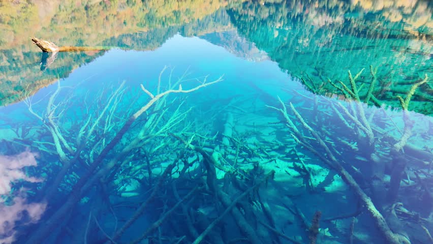Scenery Jiuzhaigou national park in Sichuan, China. Beautiful Five Flower Lake in Autumn season. Famous Landmark and Vacation near Chengdu, China. Asia travel concept 