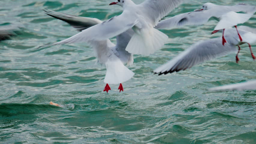 A glowing red sun partially covered by dark clouds at dusk