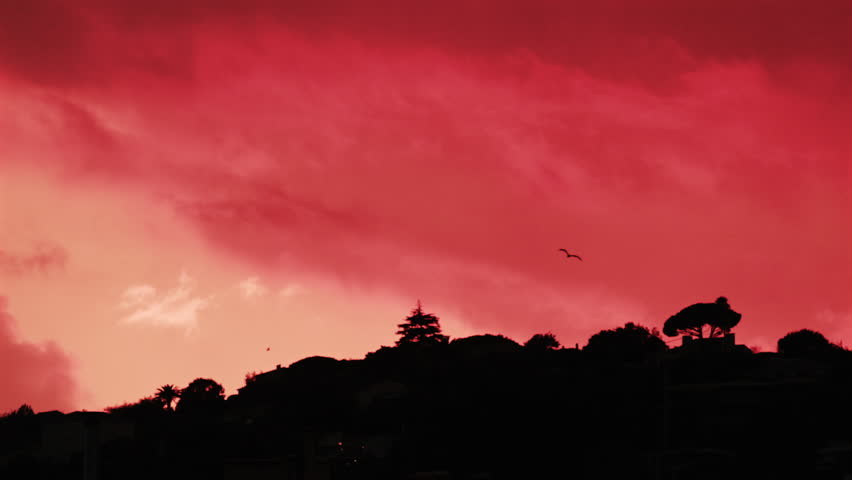 Silhouette of trees and hills under an intense red sunset sky