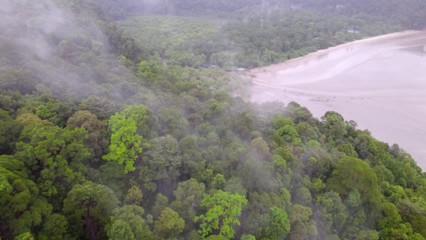 Aerial drone footage flying over dense tropical rainforest stretching along the coastline of Borneo Island in Malaysia.