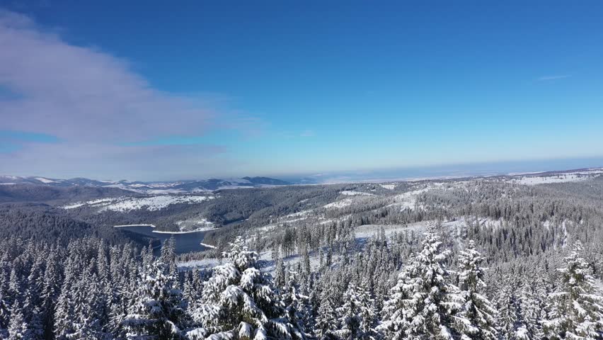 Aerial view of snow covered forest and mountain lake. Belis, Romania