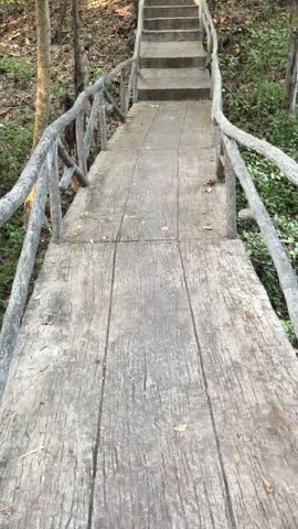 vertical video of wooden footpath and stairs in forest surrounded by trees creating a calm adventurous outdoor trail and peaceful nature walking experience