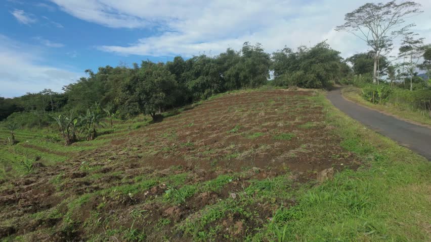 Panoramic View of Hillside Farmland and Distant Mountain
