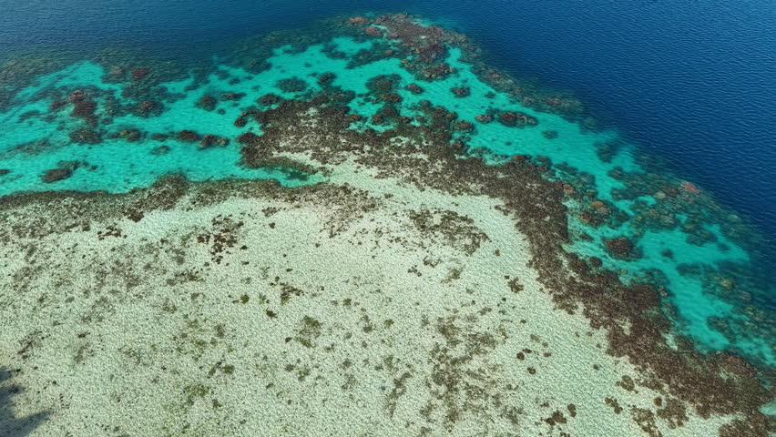 Bora Bora Island, French Polynesia. Drone Shot of Coral Reefs and Lagoon