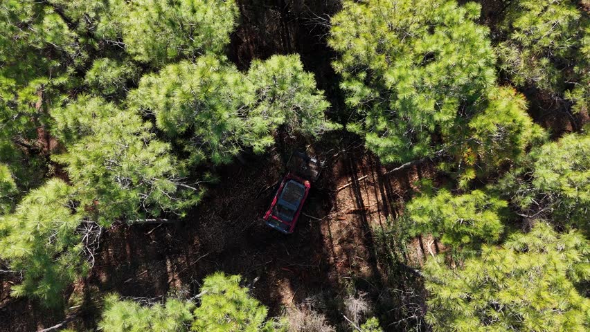 A drones eye view of a skid steer mounted mulcher thinning a pine forest in eastern nc. Slow pull up and spin.