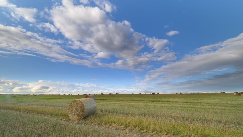A beautiful scenic landscape showcasing hay bales under a bright and vibrant blue sky