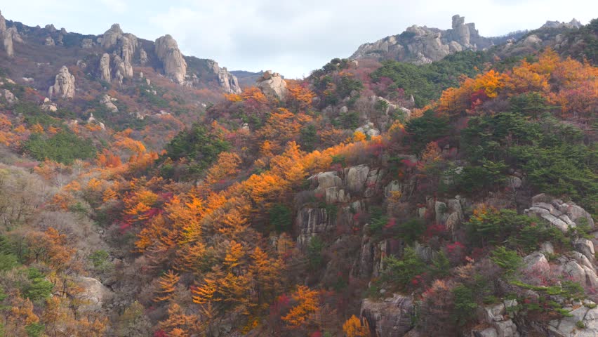 Autumn Mountain Landscape in China Golden Forest and Rugged Granite Peaks