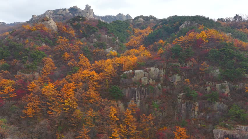 Autumn Mountain Landscape in China Golden Forest and Rugged Granite Peaks