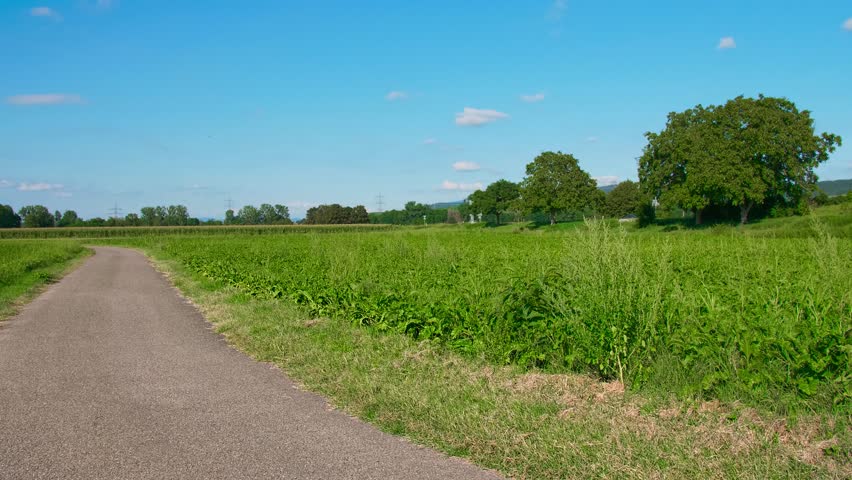 Wide Rural Landscape With Country Road and Endless Green Fields