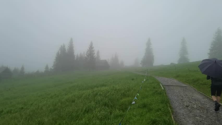 Close up of a foot path - hikers walking on forest path up hill in rain