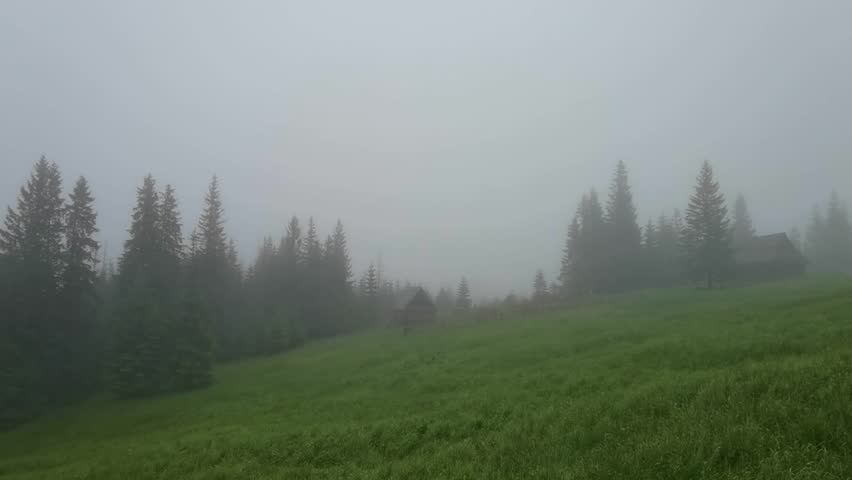 Fog over a lush green mountain meadow