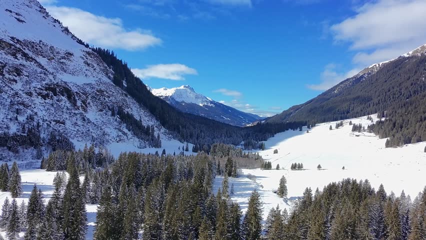 Snowy Mountain Valley with Pine Forest.