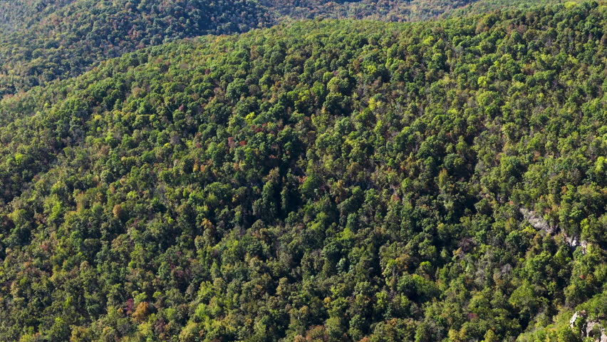 Elevated aerial panorama of expansive forested hills stretching across a remote natural landscape, Ozark National Forest autumn glow