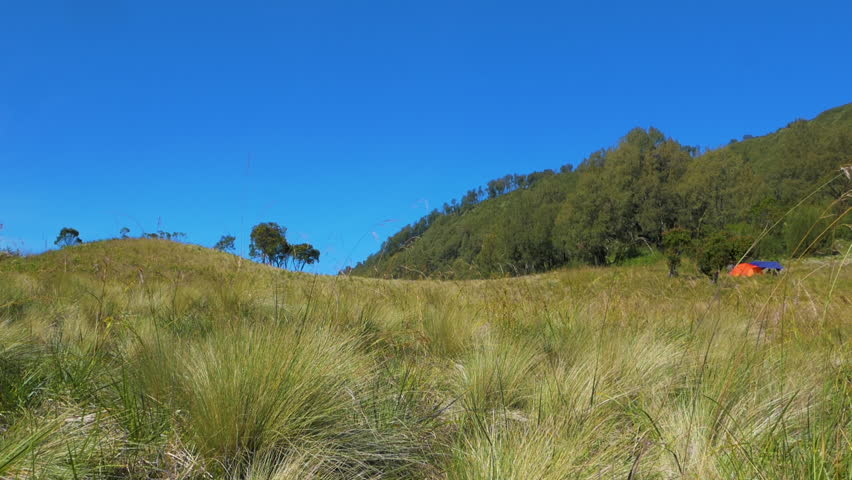 A vast grassland in the mountains with a bright blue sky and green hills covered with trees. There are orange and blue tents in the distance, giving a sense of exploration and adventure in nature.