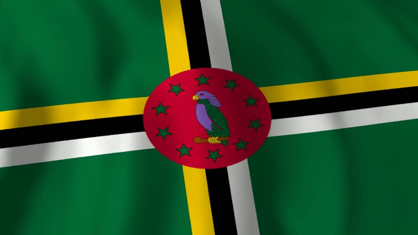 Dominica Flag waving texture 3D illustration 1080p Footage