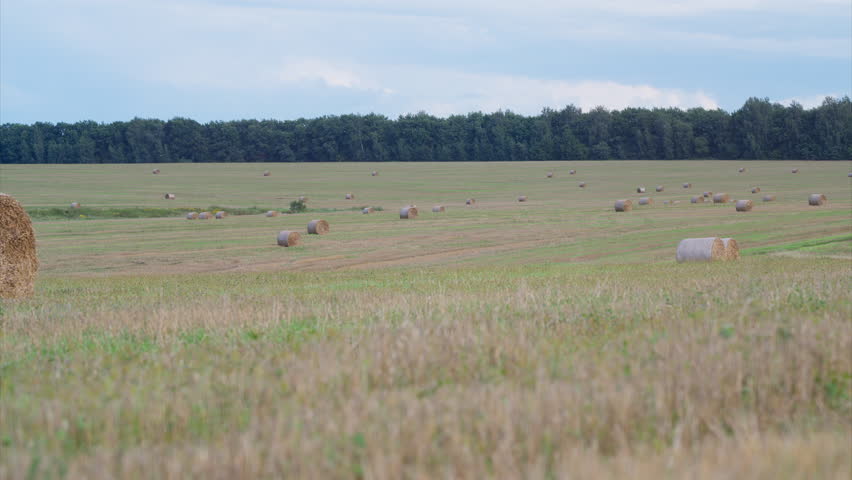 A Beautiful Scenic Agricultural Landscape Featuring Bales of Hay in the Countryside
