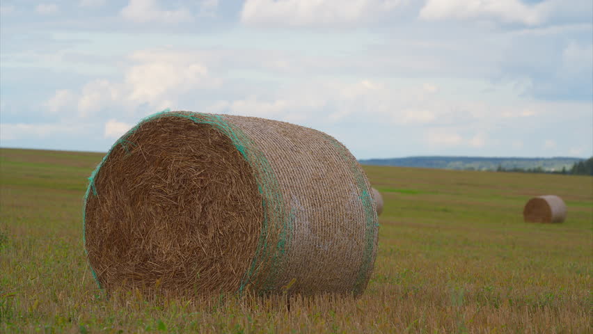 Picturesque hay bales in a serene landscape enchant with their captivating beauty