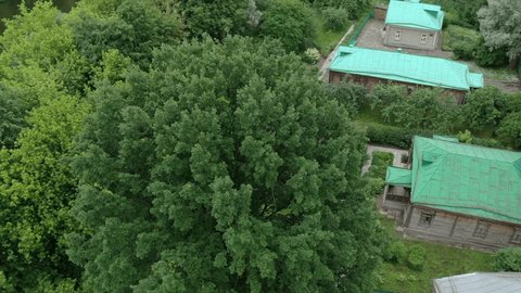 Drone Orbiting Tree near Museum Reserve Podolsk