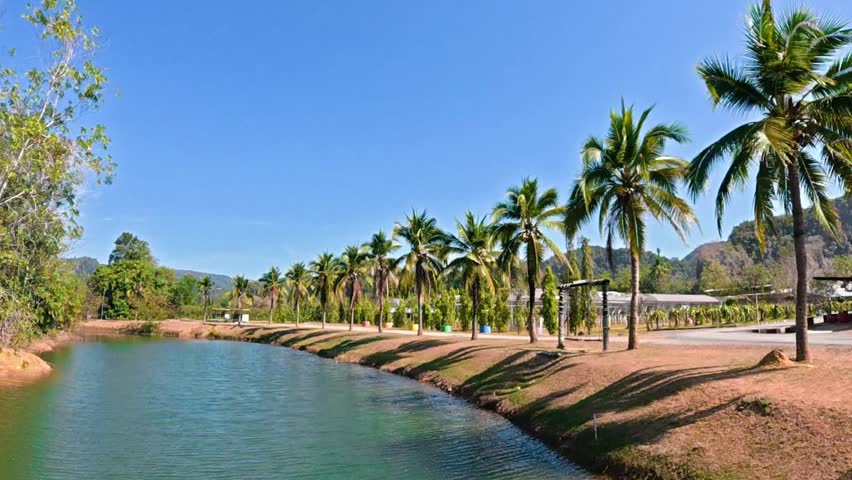Scenic tropical lake curve lined with coconut trees under clear blue sky