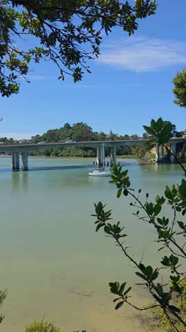 View of Upper Harbour Bridge in Auckland over calm water with a boat and green foliage on a sunny day.
