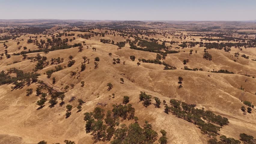 Wagga Hill countryside spreads with dry paddocks and scattered trees across expansive land, NSW Australia, aerial pullback establish landscape