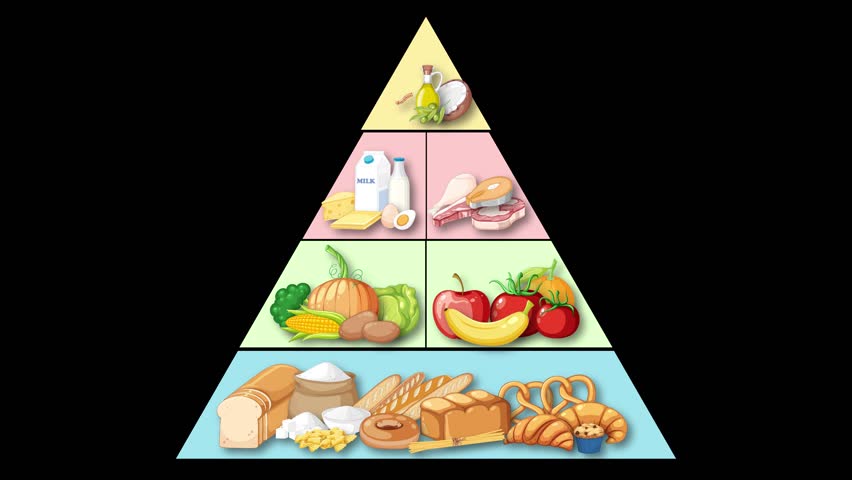 Animated food pyramid builds layer by layer, illustrating food groups with bright, clear illustrations